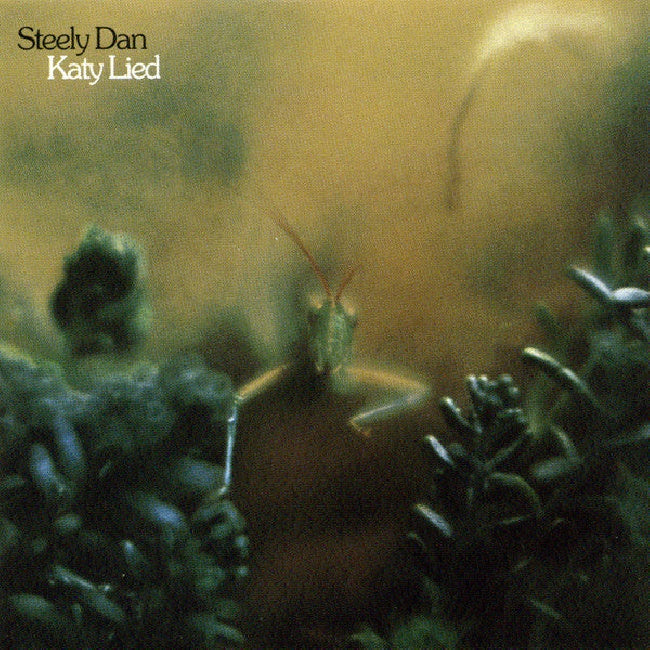 Steely Dan - Katy lied (CD)