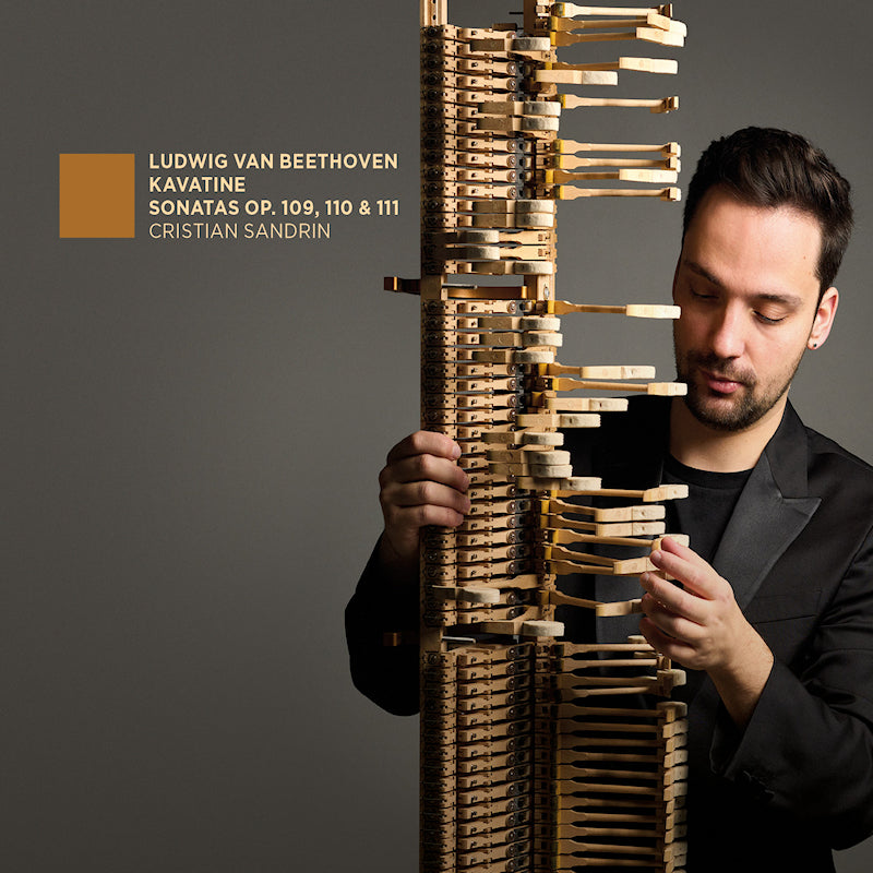 Cristian Sandrin - Beethoven: Cavatina - Sonatas Op. 109, 110 & 111 (CD)