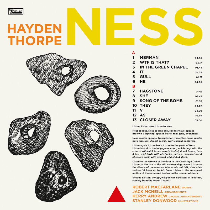 Hayden Thorpe - Ness (LP) - Velvet Music