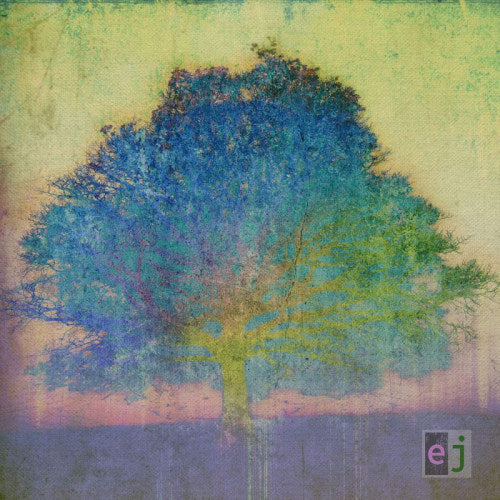 Eric Johnson - Ej (CD) - Velvet Music