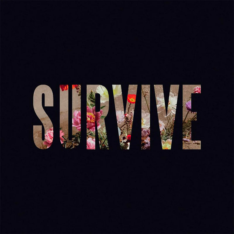 Lewis Capaldi - Survive ep (12-inch maxi-single) - Velvet Music