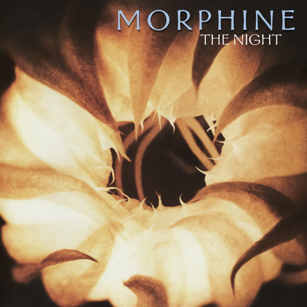 Morphine - The night (CD) - Velvet Music