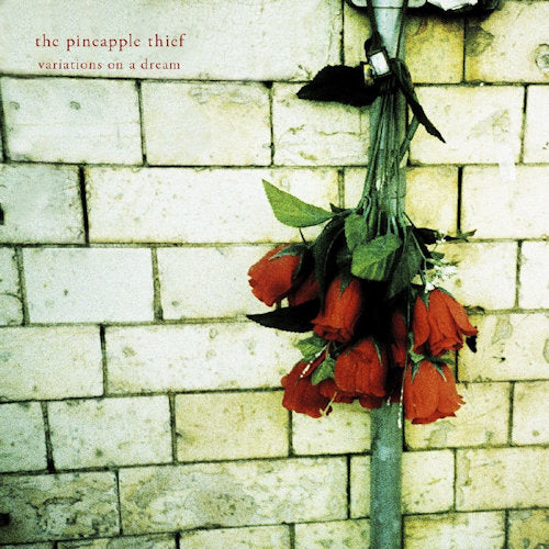 Pineapple Thief - Variations on a dream (CD)