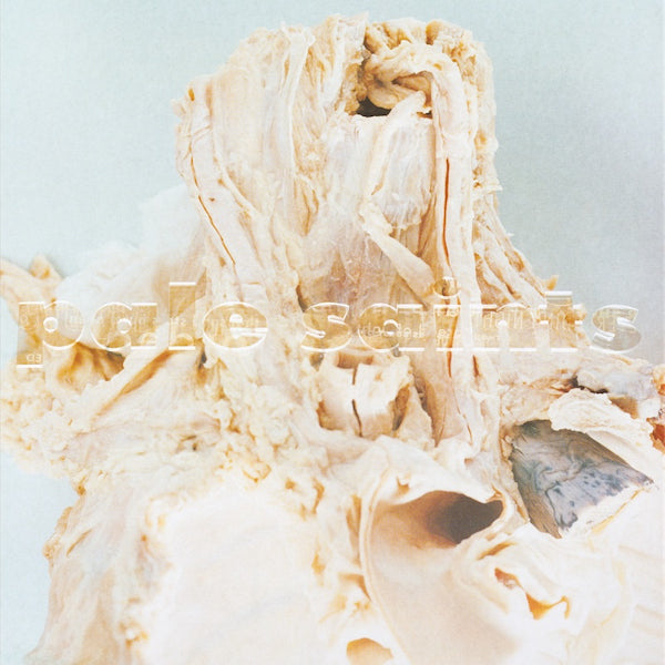 Pale Saints - In ribbons -2023 reissue- (CD)