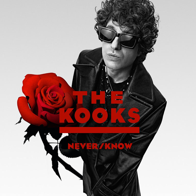 The Kooks - Never/know (LP) - Velvet Music