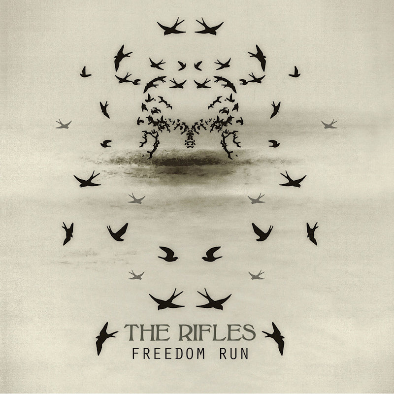The Rifles - Freedom run (CD)