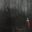 156 /silence - From a distance (LP) - Velvet Music