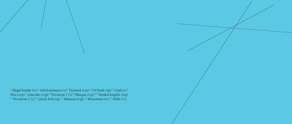 Erik Vermeulen Trio - Asterisk (tweedehands CD)