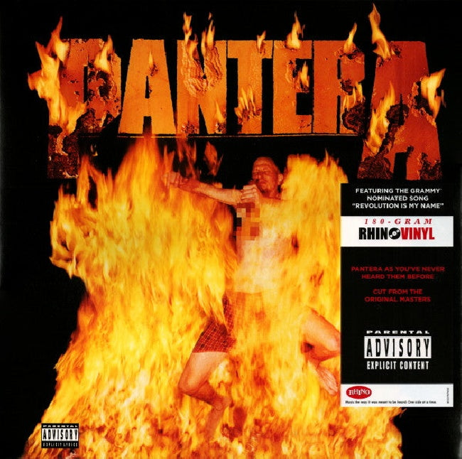 Pantera - Reinventing the steel (LP)