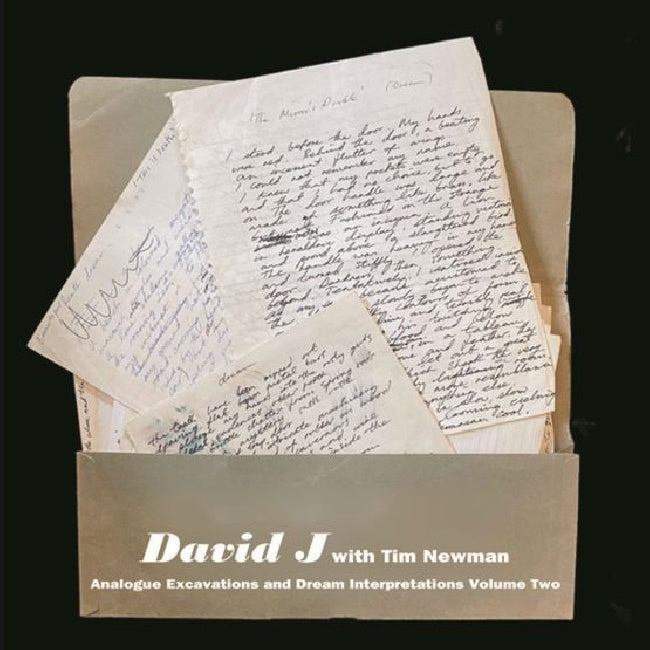 David J With Tim Newman - Analogue excavations & dream interpretations vol.2 (LP)