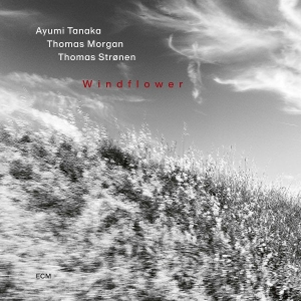 Ayumi Tanaka - Windflower (CD) - Velvet Music