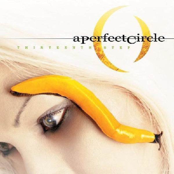 A Perfect Circle - Thirteenth step (LP) - Velvet Music