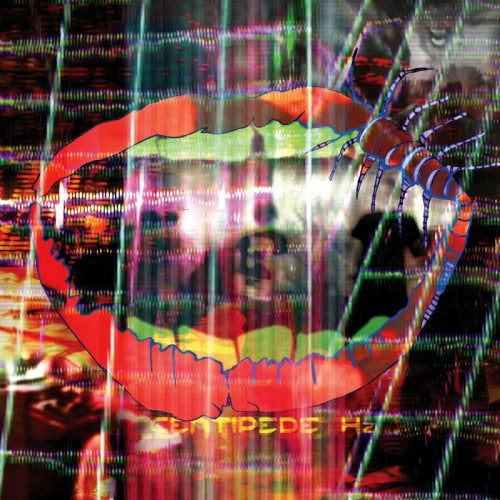 Animal Collective - Centipede hz (LP)