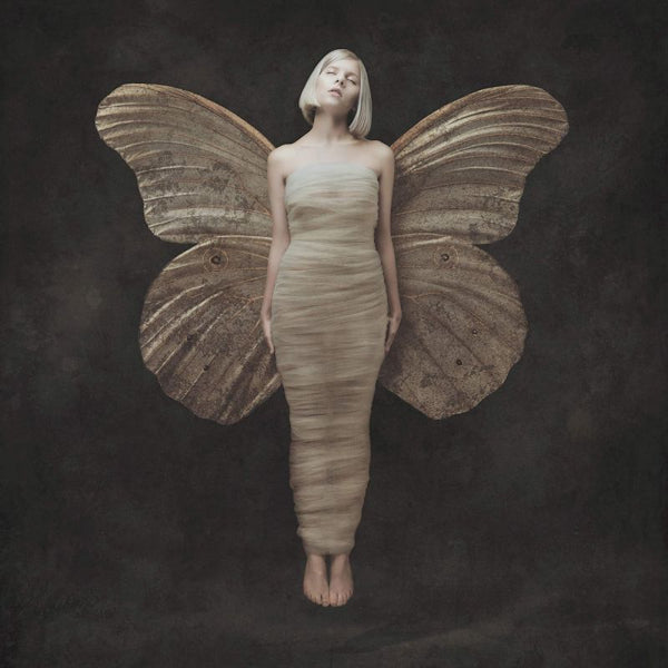 Aurora - All my demons greeting me as a friend (LP) - Velvet Music