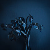 A Swarm Of The Sun - Rifts (CD)