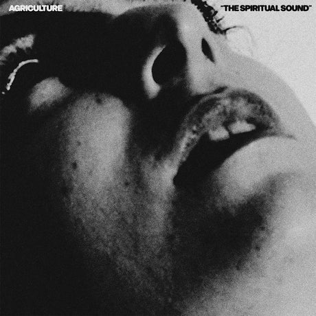 Agriculture - The spiritual sound (CD) - Velvet Music