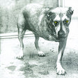 Alice In Chains - Alice in chains (CD)