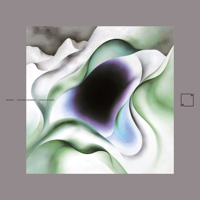 Anthony Calonico - Spacious heart (LP) - Velvet Music