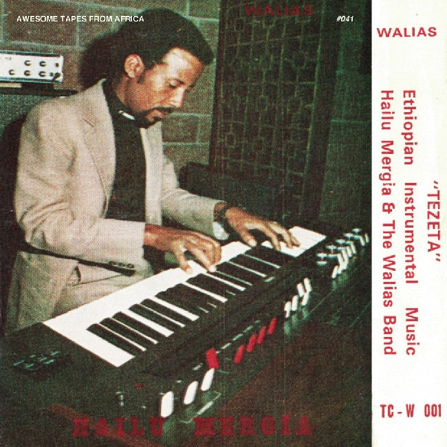 Hailu Mergia & The Walias Band - Tezeta (LP) - Velvet Music