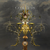 Joep Beving - Conatus (LP)