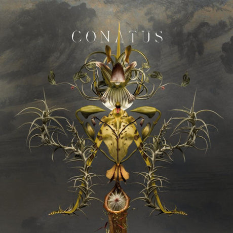 Joep Beving - Conatus (LP)