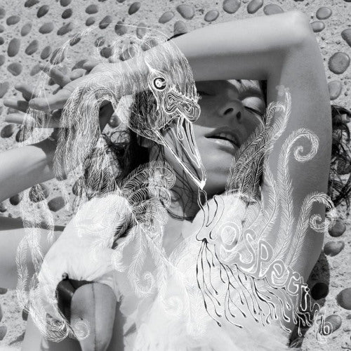 Vinyl LP van Bjork Vespertine met albumhoes en artwork zichtbaar, zwart en wit design, muziek en artistieke details.