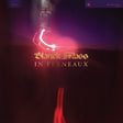 Blanck Mass - In ferneaux (LP) - Velvet Music