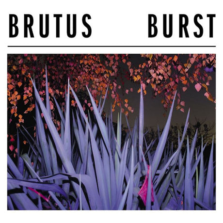 Brutus - Burst (LP) - Velvet Music