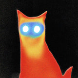 Basement - Wired (LP) - Velvet Music