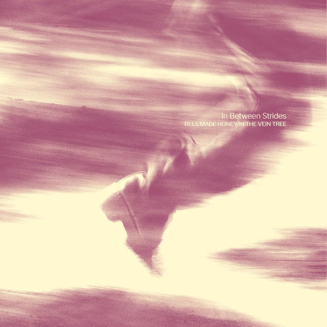 Bees Made Honey In The Vein Tree - In between strides (LP) - Velvet Music
