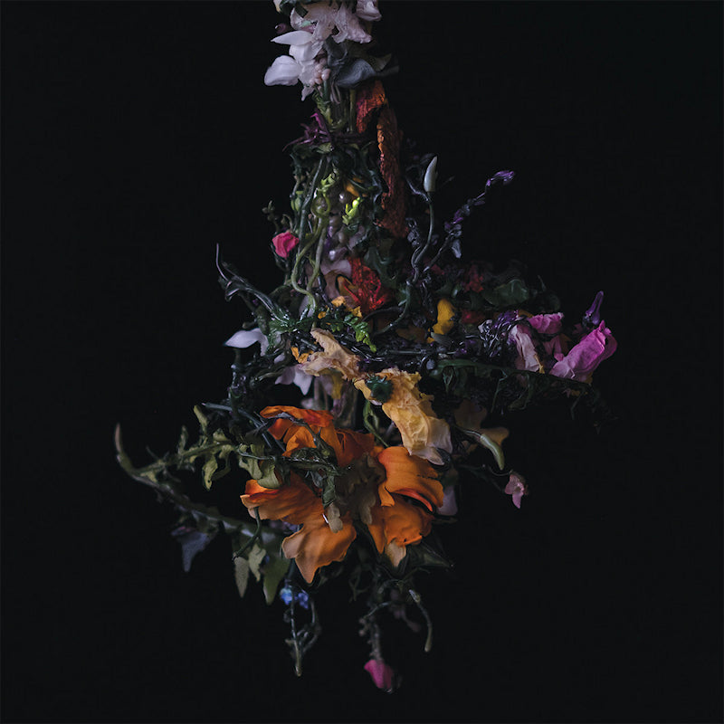 Big Brave - Nature morte (CD)