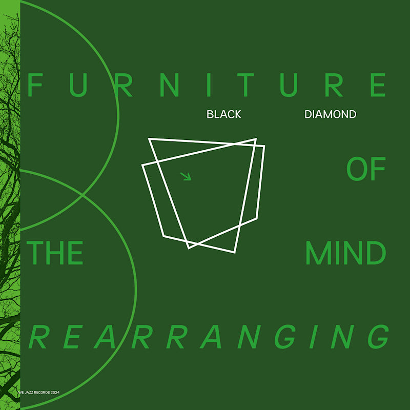 Black Diamond - Furniture of the mind rearranging (LP) - Velvet Music