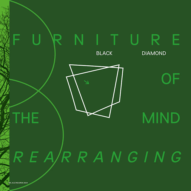 Black Diamond - Furniture of the mind rearranging (LP) - Velvet Music