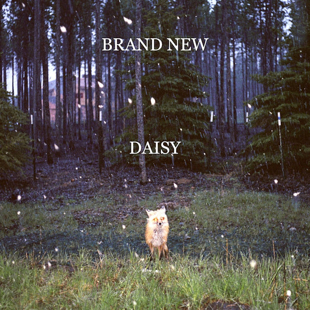 Brand New - Daisy (LP) - Velvet Music