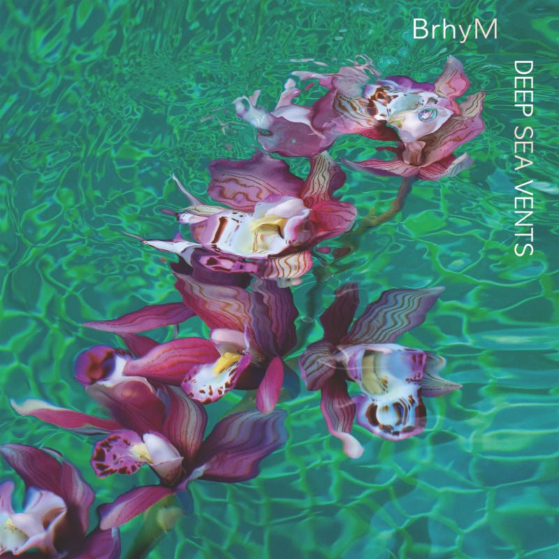 BrhyM - Deep sea vents (LP)