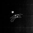 Cadaver Eyes - Road extends (LP) - Velvet Music