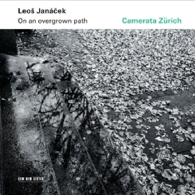 Camerata Zurich / Igor Karsko / Maia Brami - On an overgrown path (CD) - Velvet Music