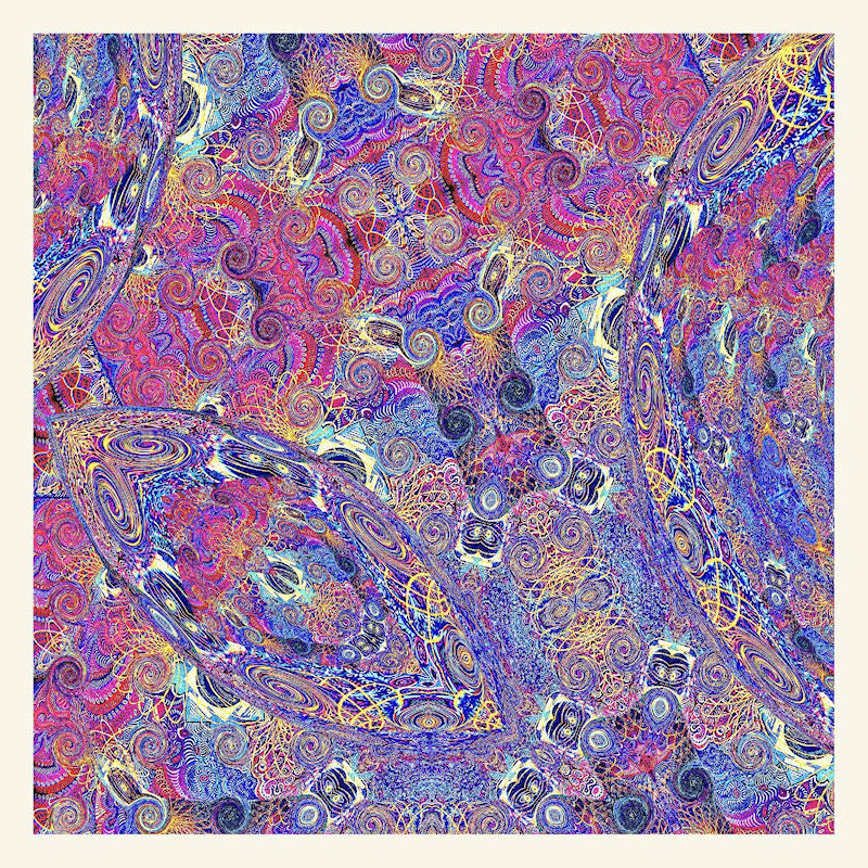 Carlos Nino & Friends - Placenta (LP) - Velvet Music