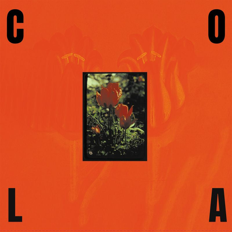 Cola - The gloss (LP) - Velvet Music