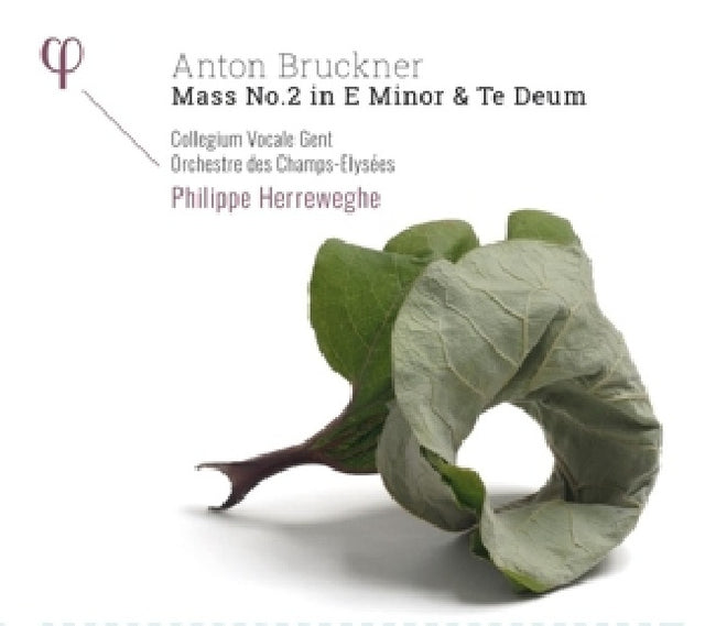 Sergi Berliner Philharmoniker - Mass no.2 in e minor & te deum (CD) - Velvet Music