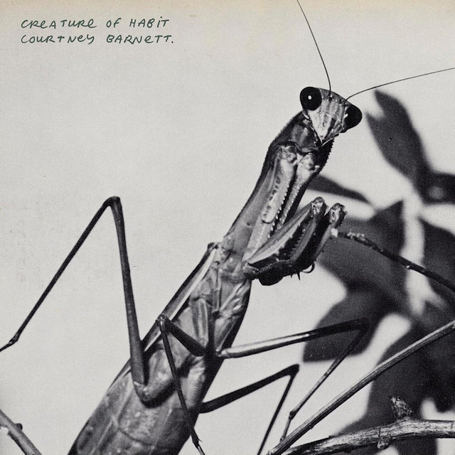 Courtney Barnett - Creature Of Habit (CD) - Velvet Music
