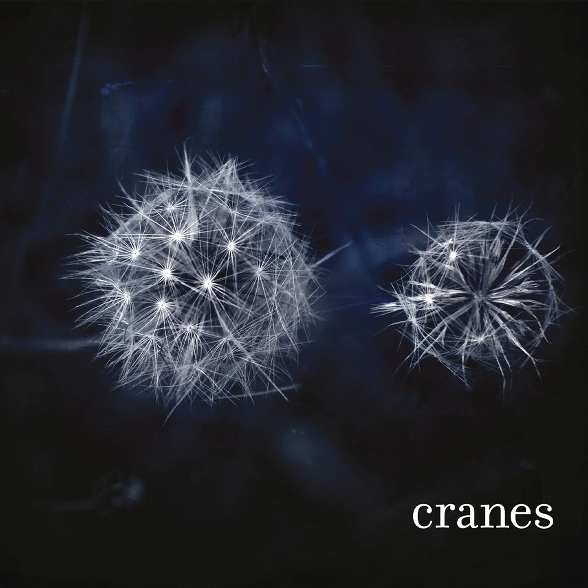 Cranes - Cranes (LP)