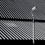 Craven Faults - Erratics & unconformities (CD) - Velvet Music