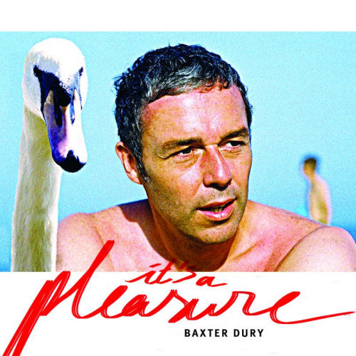 Baxter Dury - It's a pleasure (LP)