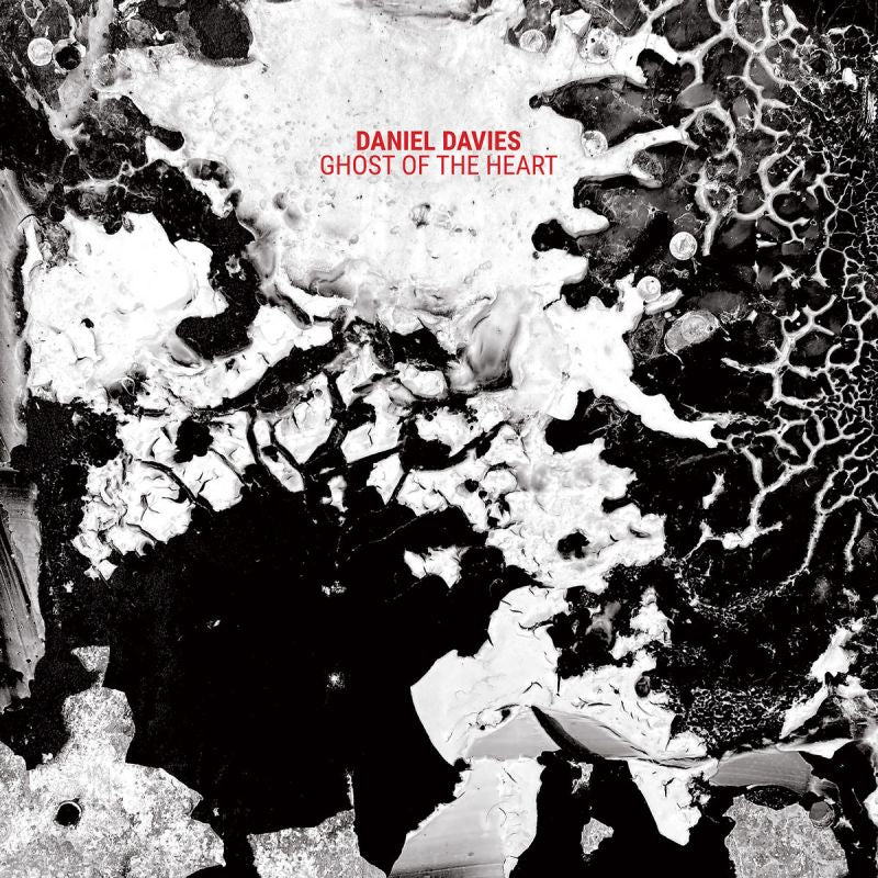 Daniel Davies - Ghost of the heart (CD) - Velvet Music