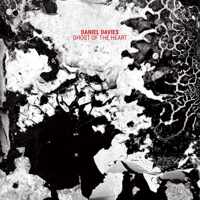 Daniel Davies - Ghost of the heart (CD) - Velvet Music