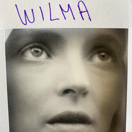 Daniele Luppi - Wilma (LP) - Velvet Music