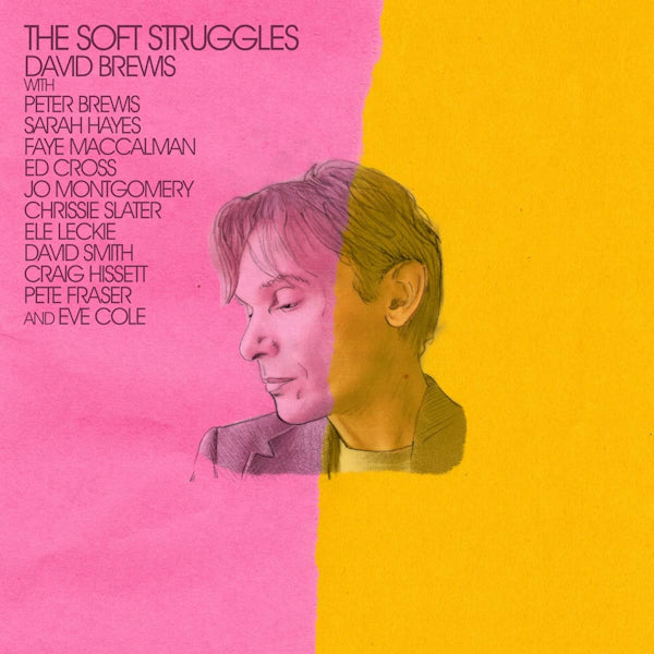 David Brewis - Soft struggles (CD) - Velvet Music
