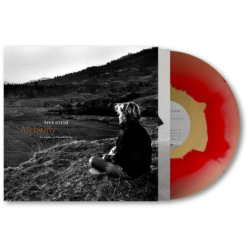 David Sylvian &amp; Jon Hassell - Alchemy an index of possibilities (LP)