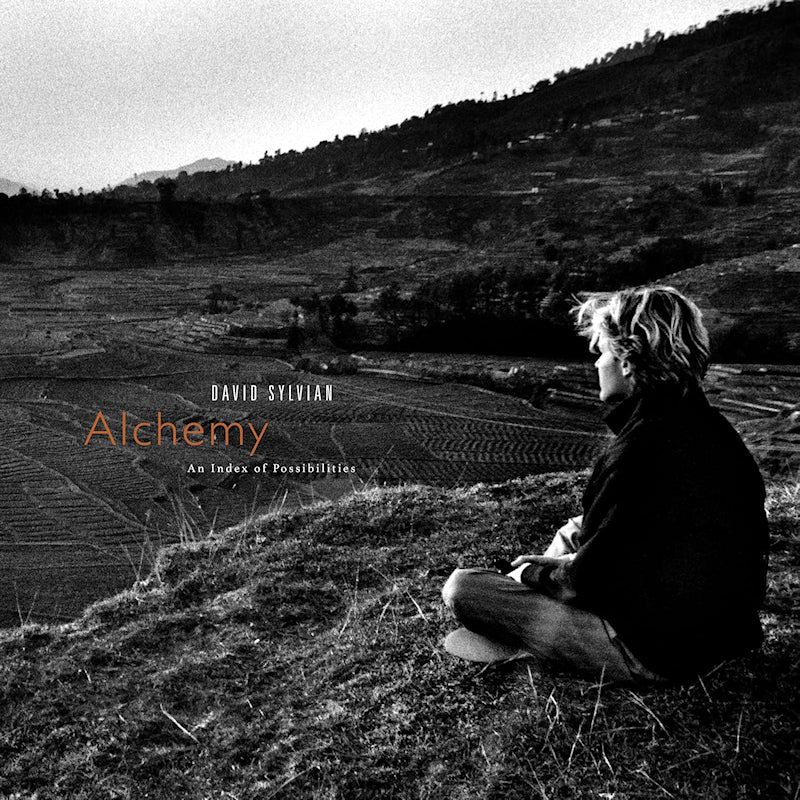 David Sylvian &amp; Jon Hassell - Alchemy an index of possibilities (LP)